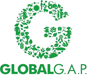 globalg