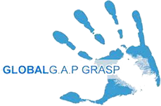globalgrasp